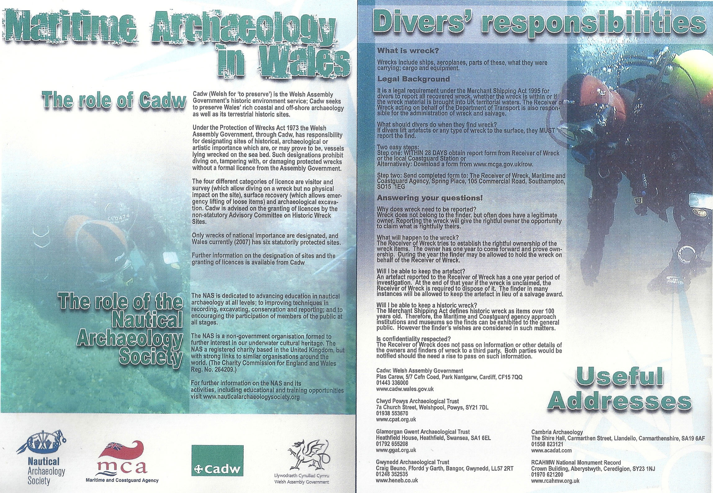 CADW Poster - English